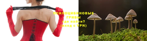 mdpv Алексин