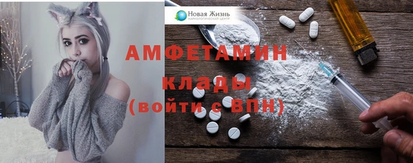 молекула духа Алексеевка
