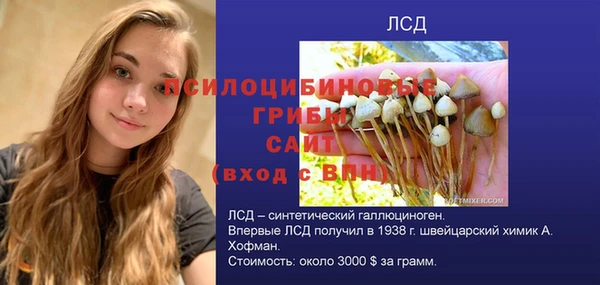 молекула духа Алексеевка