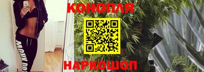 МДПВ Можга