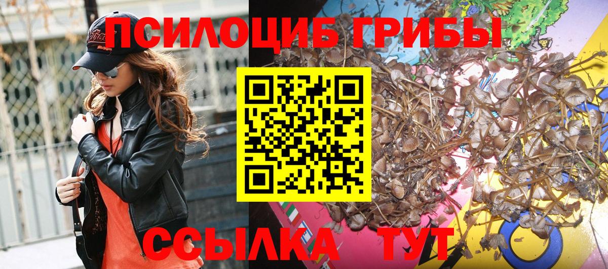 Псилоцибиновые грибы Cubensis  Вход с VPN  Ярцево 