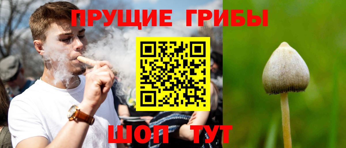Галлюциногенные грибы Cubensis Ярцево